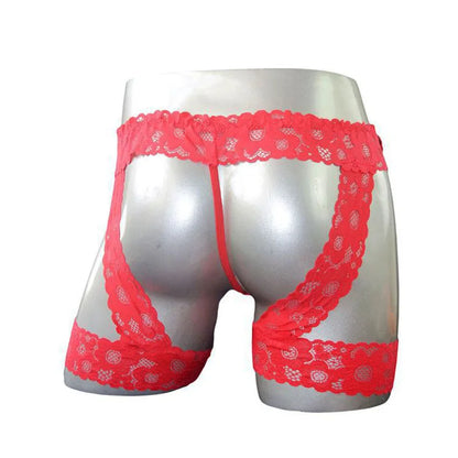 Sexy Lingerie for Him Lace Garter Belt Style Sissy Thong Underwear with Sheer G-String Under Pants Fantasy Underwear for Men