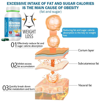 Weight Loss Products Belly Fat Burner for Women - Lose Stomach Fat, Reduce Bloating, & Avoid Hormonal Weight Gain