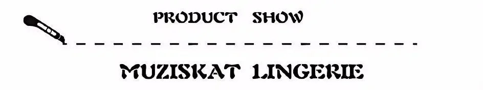 2024 Sexy Erotic Costume Lace Embroidery Hollow Out Backless Mesh See Through Erotic Female Teddy Bear Lingerie Bodysuit